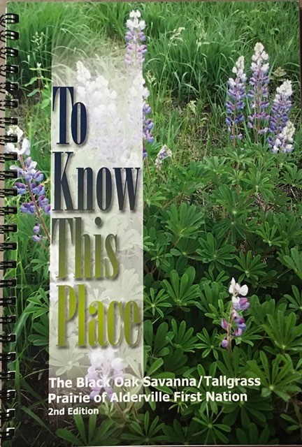 To Know This Place by Ruth Clarke